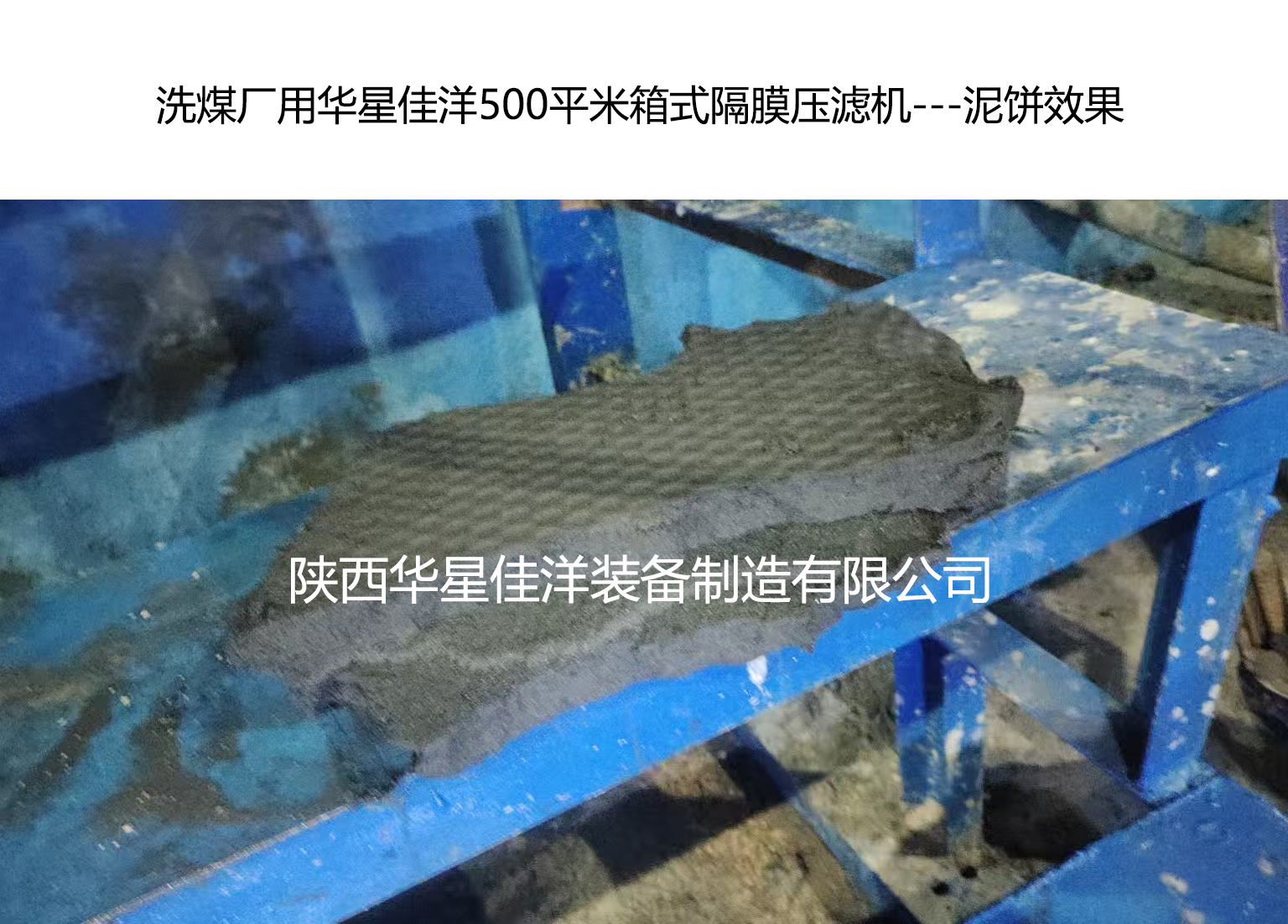 洗煤廠用我廠500平米箱式隔膜壓濾機-泥餅效果